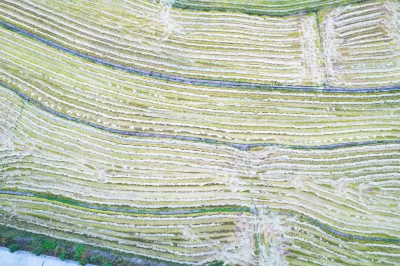 石英晶体谐振器在5G通信设备中的选型要点与设计建议