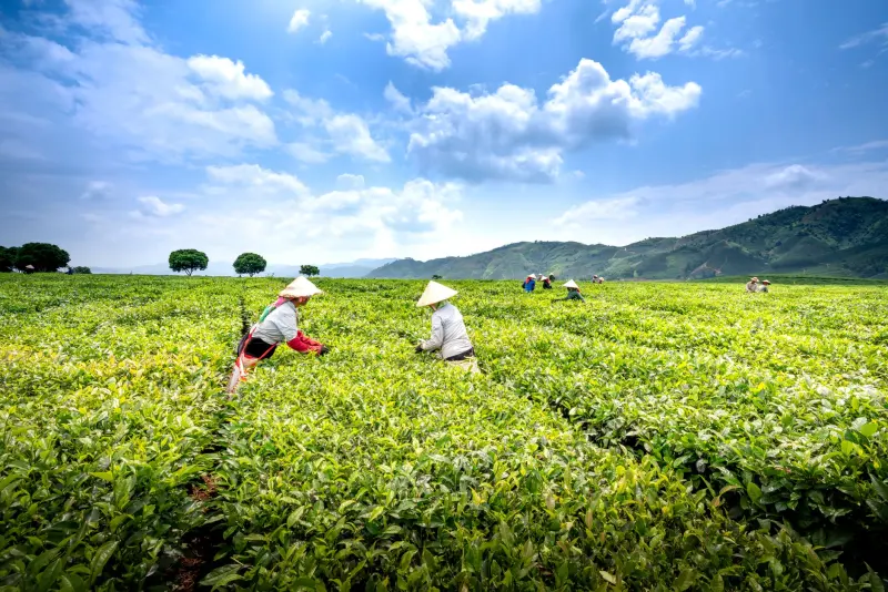石英晶体谐振器在5G通信设备中的频率控制应用与选型要点
