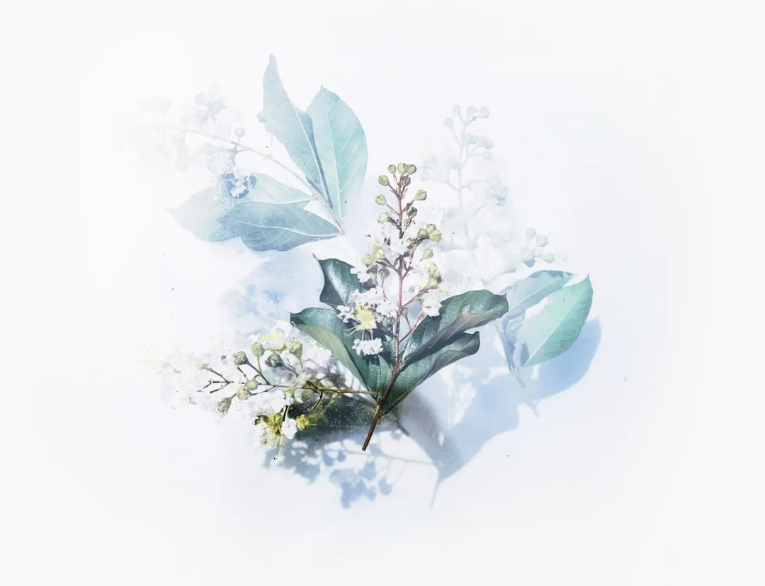 深圳晶振厂商解析石英晶体滤波器生产工艺中的精度控制方案